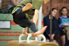 bild_120